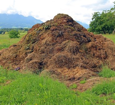The Purebower